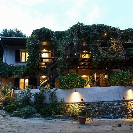 Ghermaniko Guesthouse داموشاري المظهر الخارجي الصورة