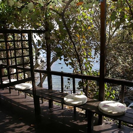 Ghermaniko Guesthouse داموشاري المظهر الخارجي الصورة