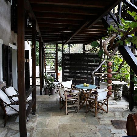 Ghermaniko Guesthouse داموشاري المظهر الخارجي الصورة