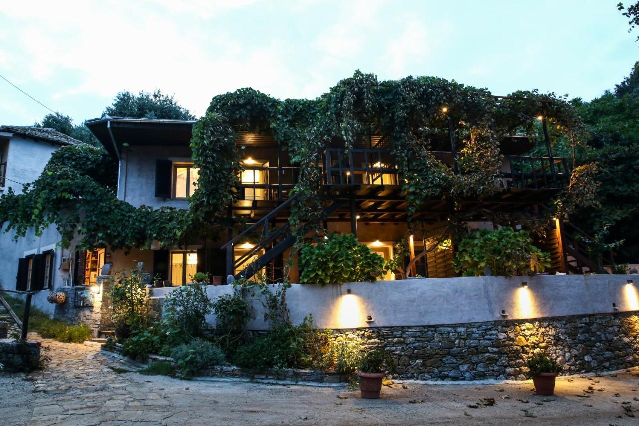 Ghermaniko Guesthouse داموشاري المظهر الخارجي الصورة